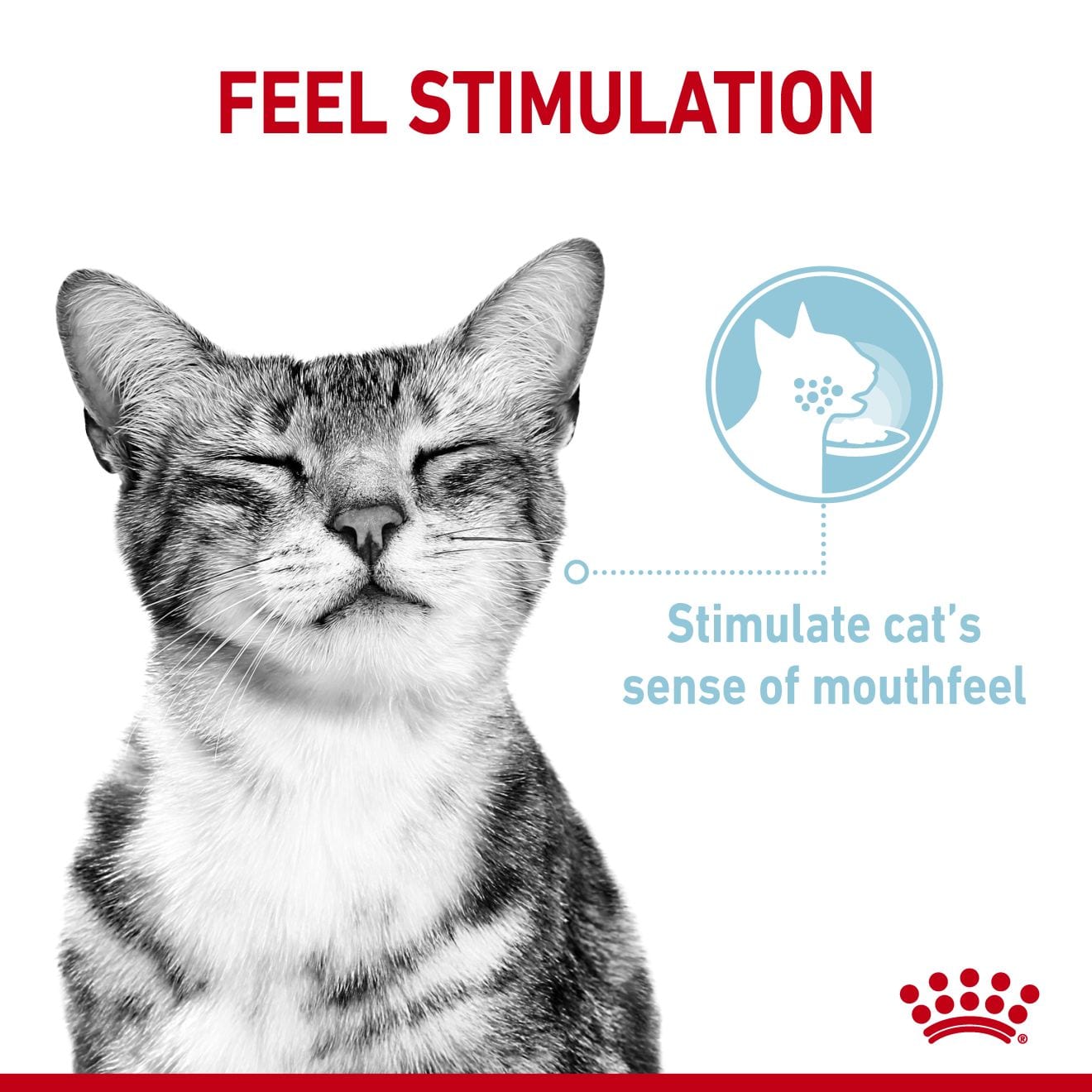 Royal Canin Sensory Feel Wet Cat Food Morsels In Gravy for Adult Cats, 85g