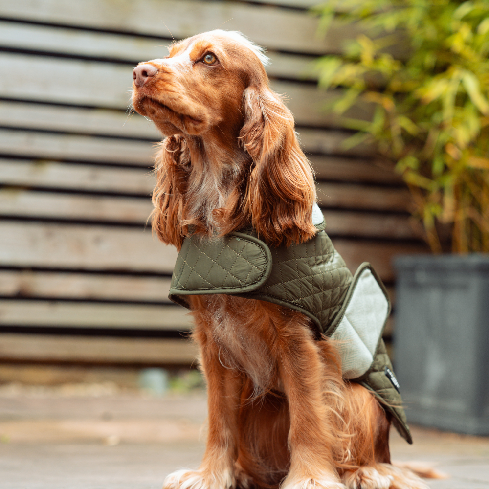 Cocopup Country Khaki Luxe Quilted Dog Coat, Small