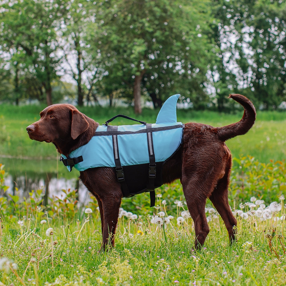 Nobby "Sharki" Dog Buoyancy Aid