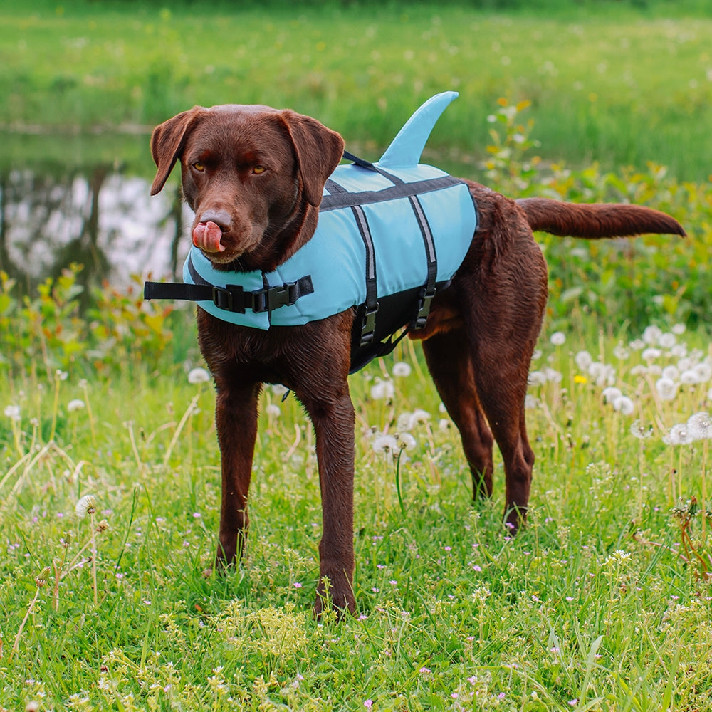 Nobby "Sharki" Dog Buoyancy Aid