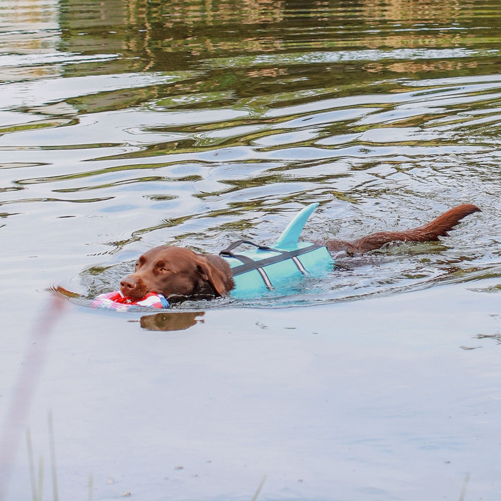 Nobby "Sharki" Dog Buoyancy Aid