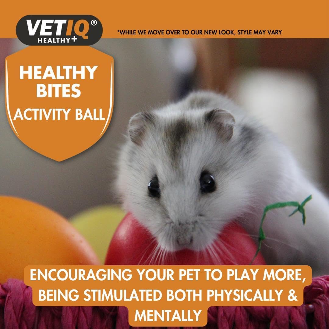 VetIQ Small Animal Activity Treat Ball