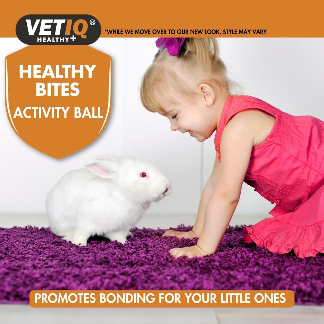 VetIQ Small Animal Activity Treat Ball
