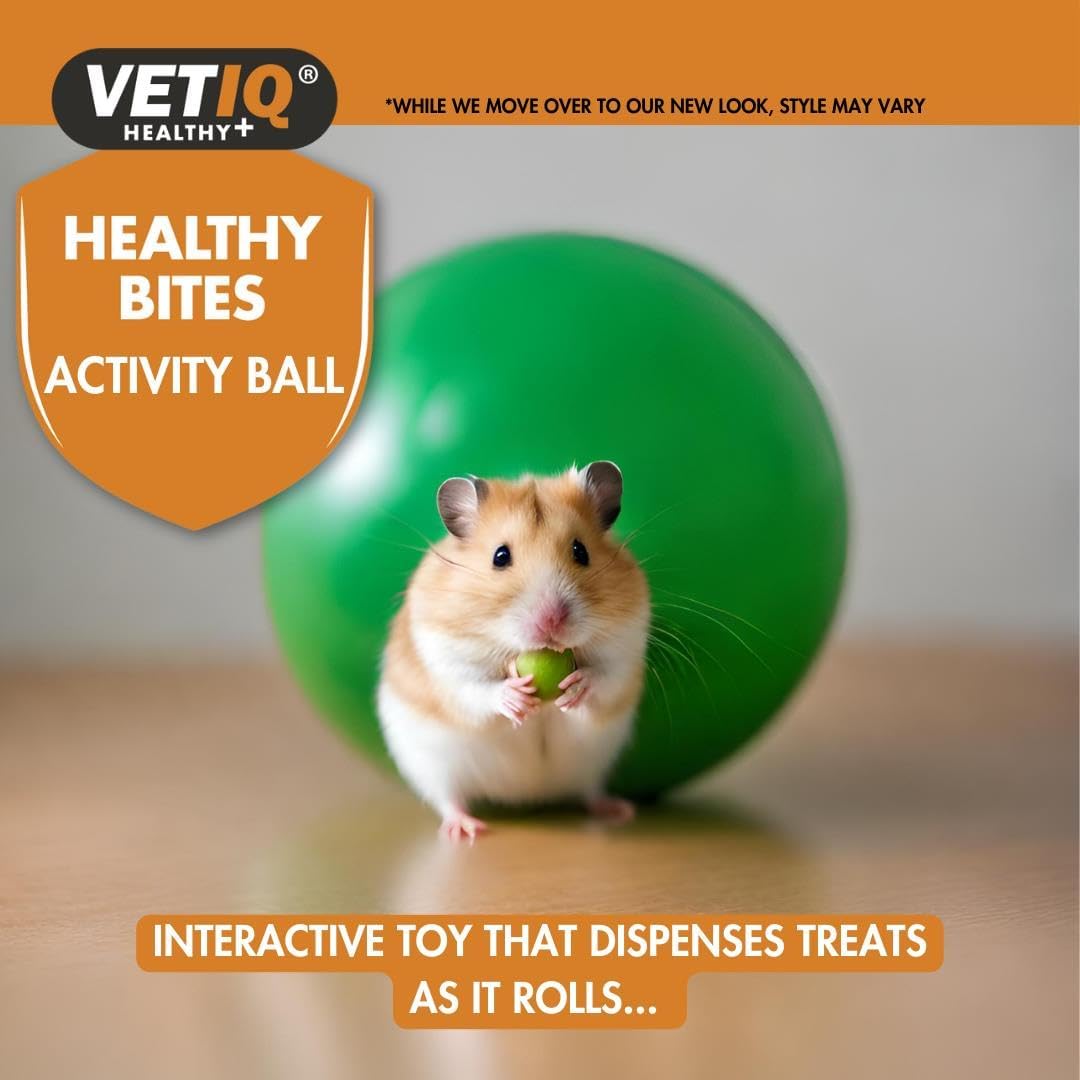 VetIQ Small Animal Activity Treat Ball