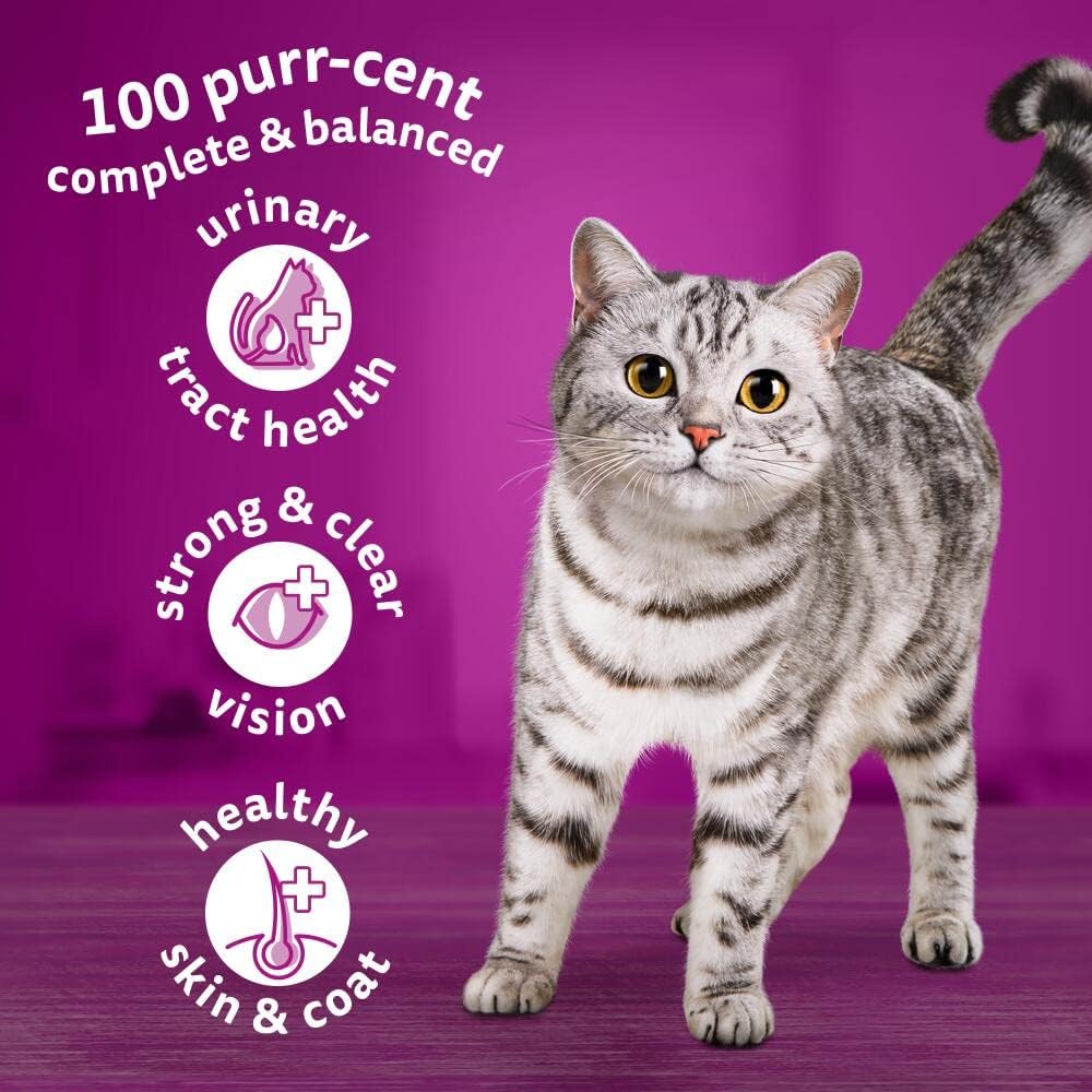 Whiskas Chicken Dry Cat Food for Kittens, 1.9kg