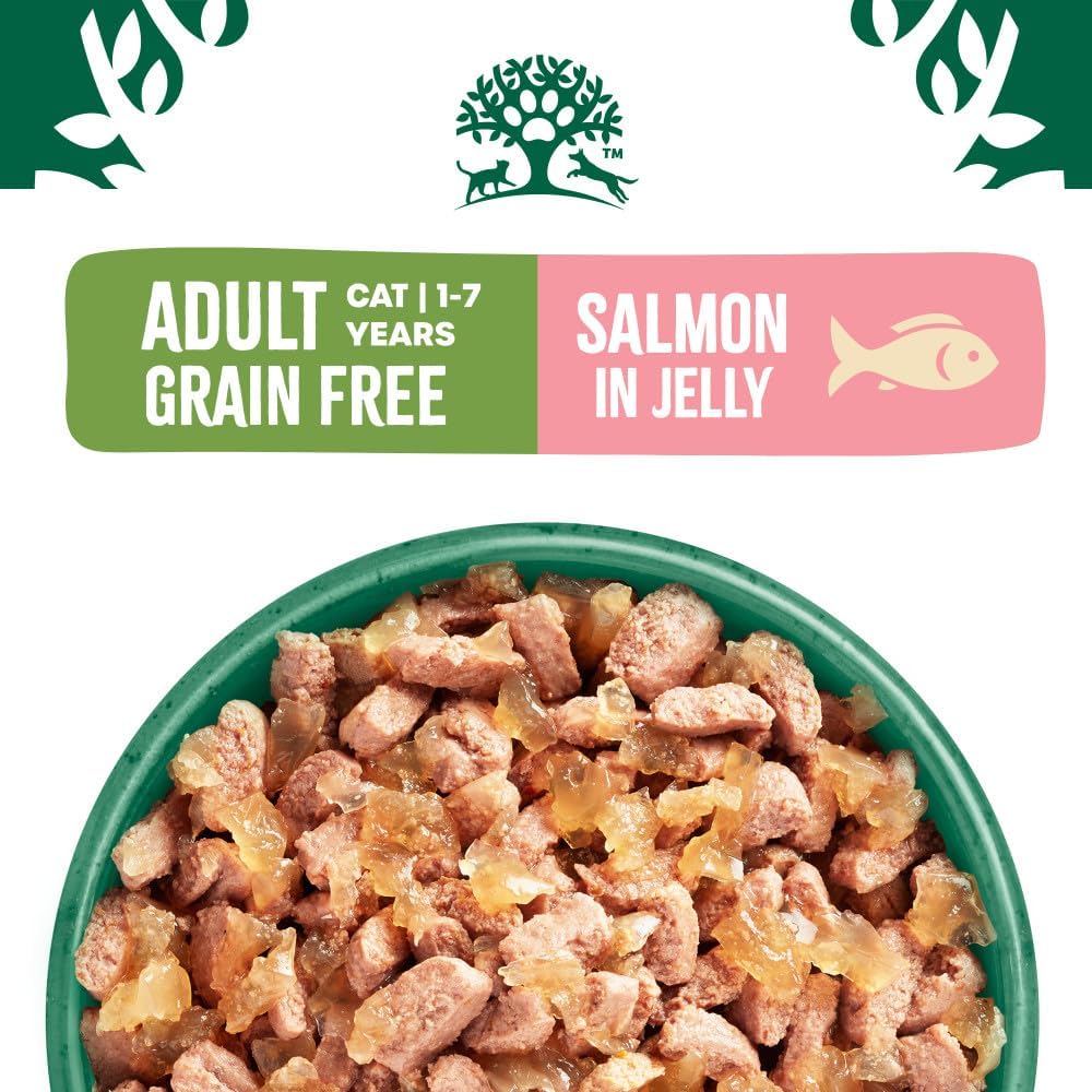 James Wellbeloved Grain Free Salmon in Jelly Wet Cat Food for Adult Dogs, 12 x 85g