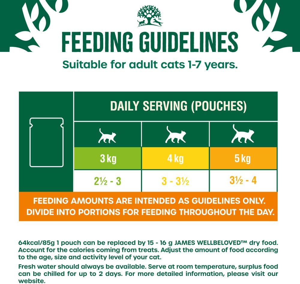 James Wellbeloved Grain Free Salmon in Jelly Wet Cat Food for Adult Dogs, 12 x 85g