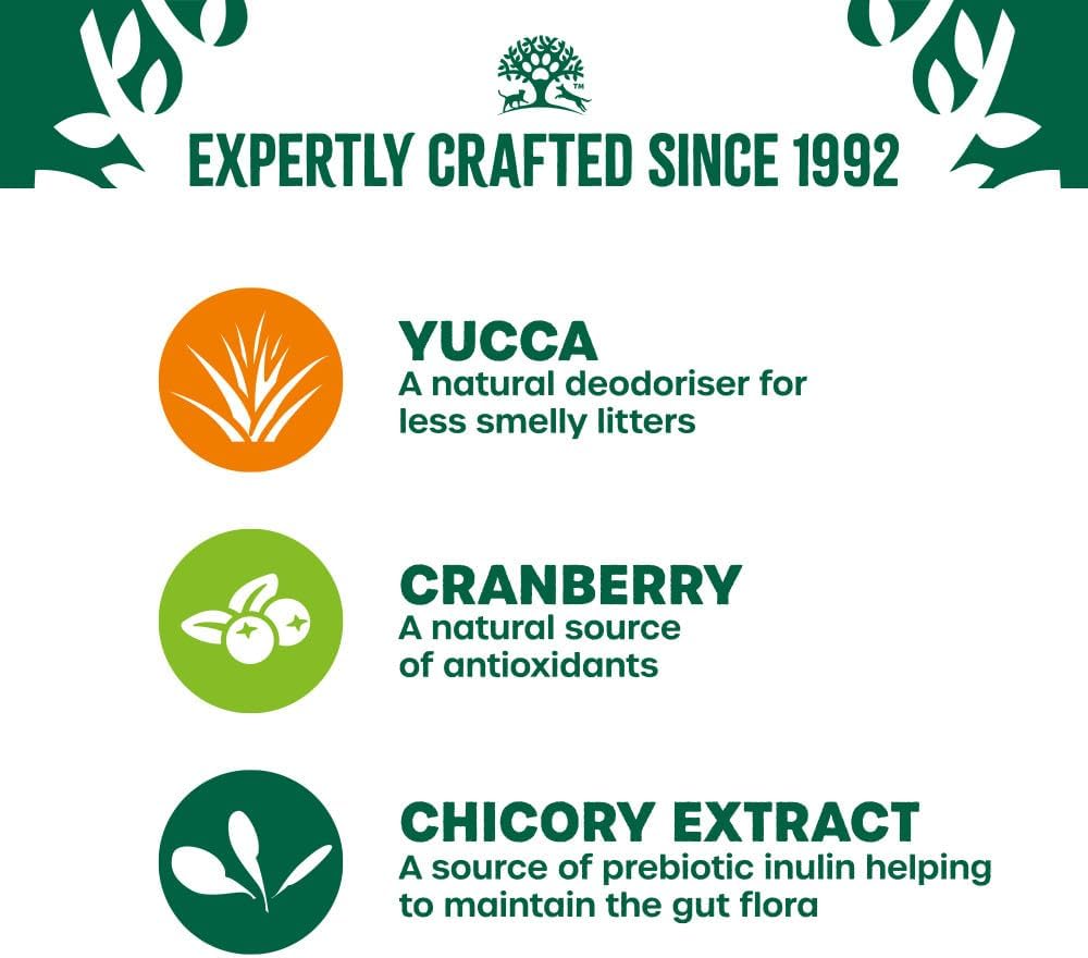 James Wellbeloved Grain Free Salmon in Jelly Wet Cat Food for Adult Dogs, 12 x 85g