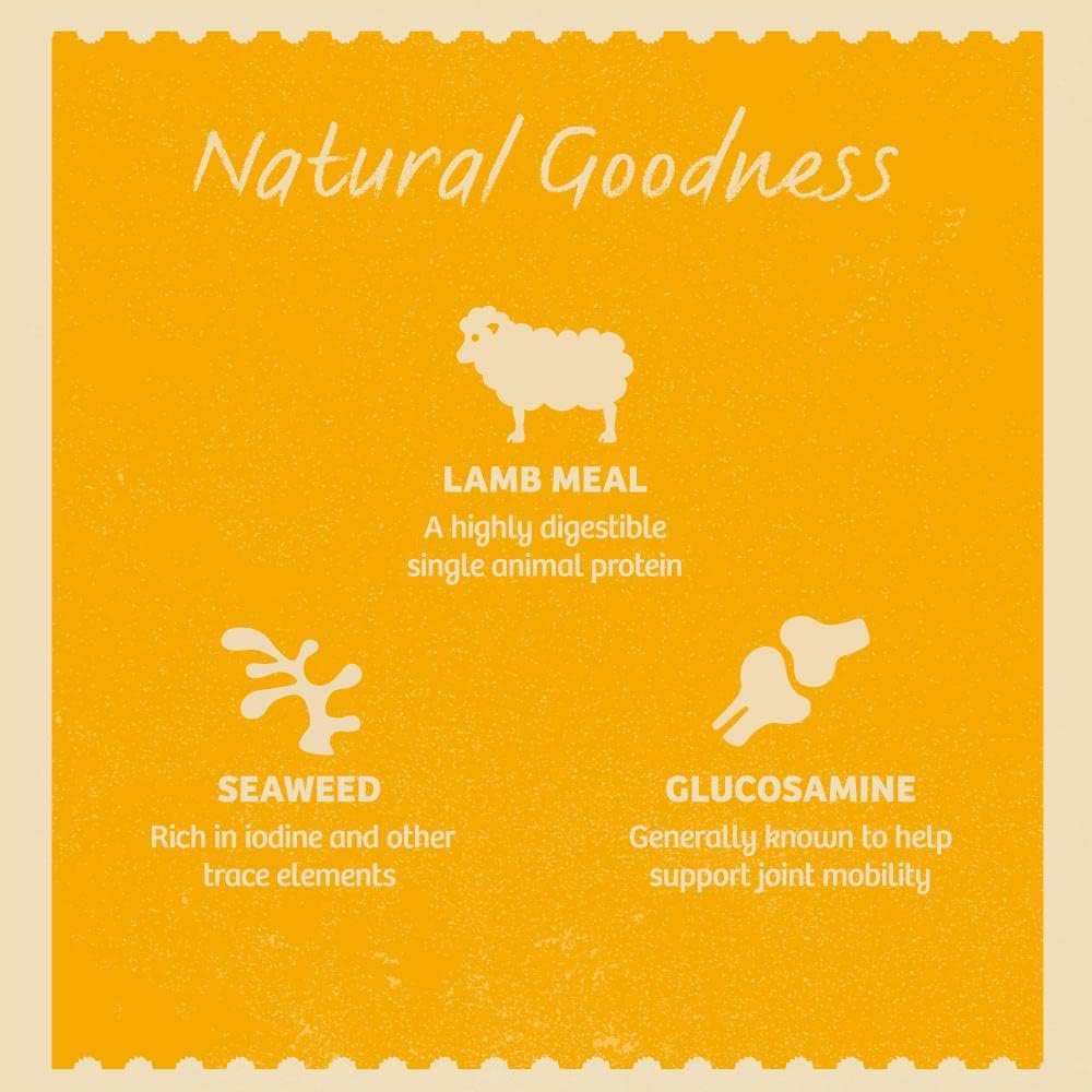 James Wellbeloved Lamb with Rice & Vegetables in Gravy Wet Dog Food for Senior Dogs, 10 x 150g