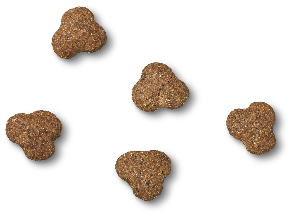 James Wellbeloved Turkey & Rice Dry Dog Food for Adult Dogs, 15kg