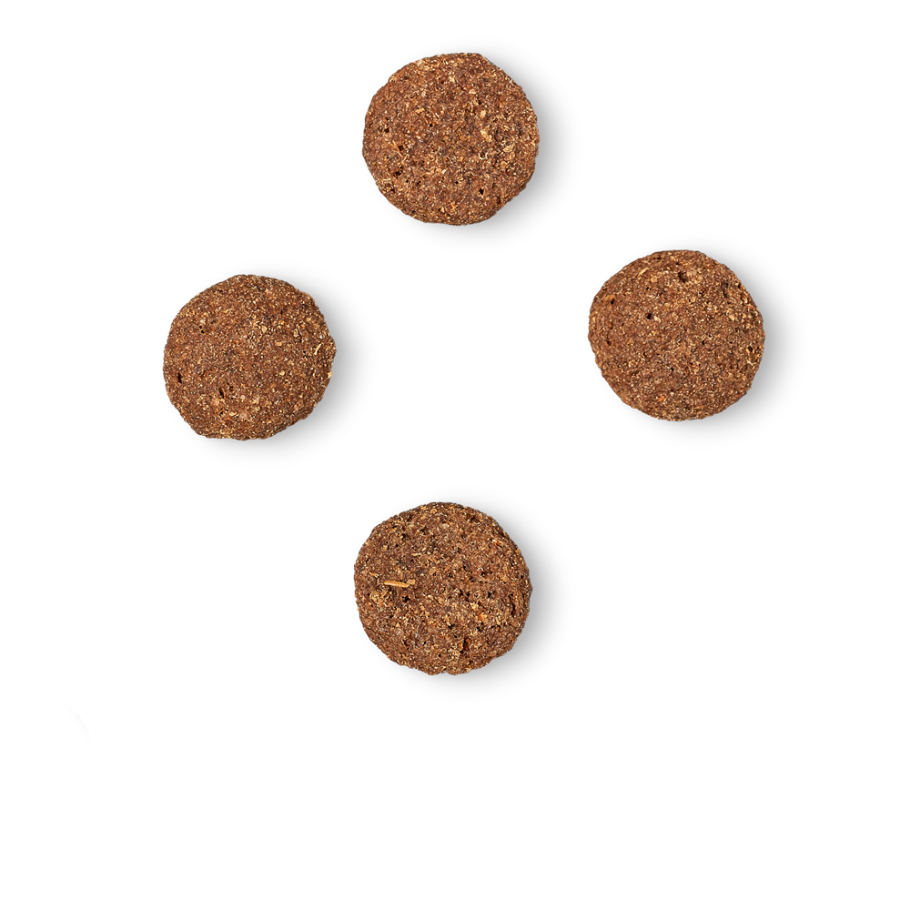 James Wellbeloved Turkey & Rice Light Dry Dog Food for Adult Dogs, 1.5kg