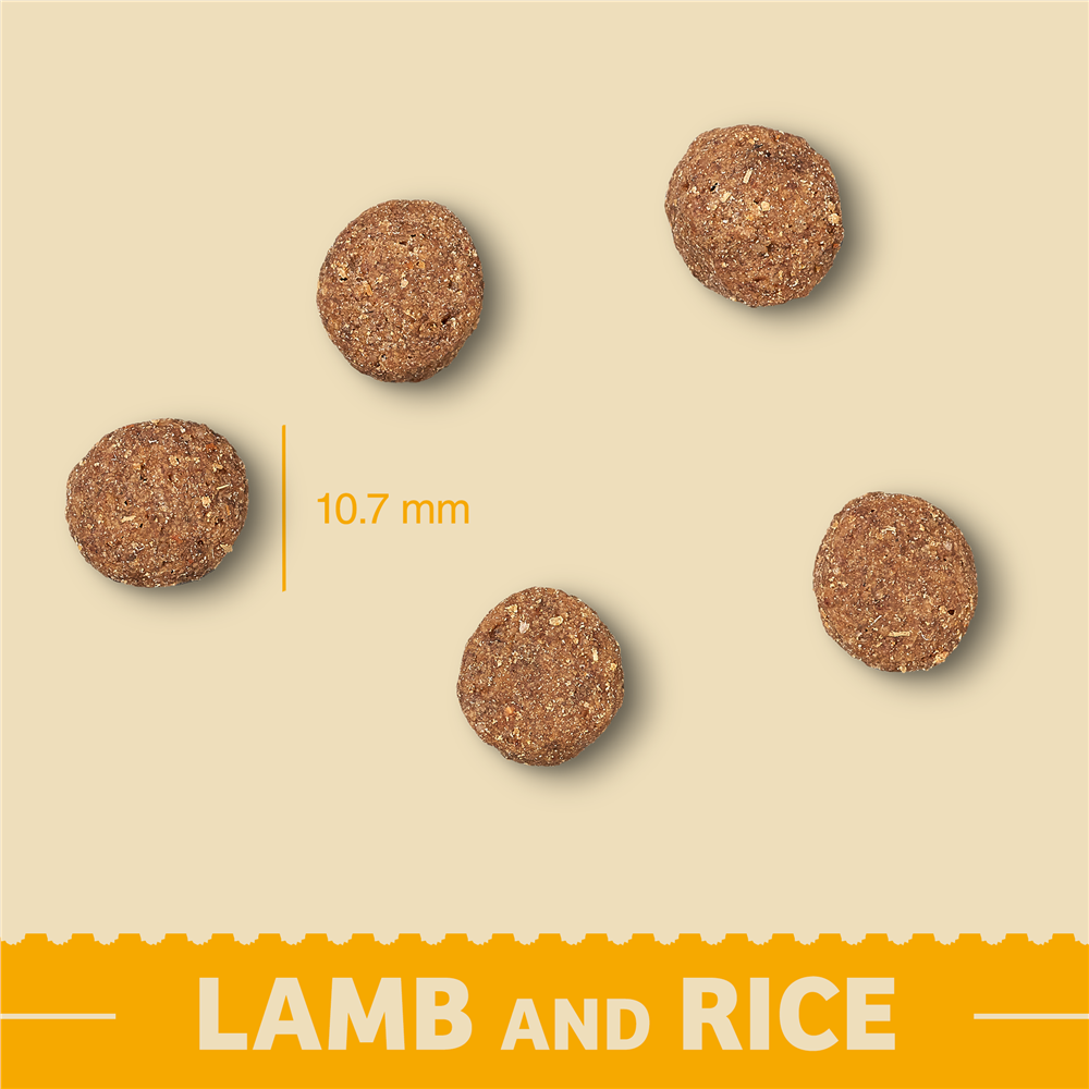 James Wellbeloved Lamb & Rice Dry Dog Food for Puppies, 2kg