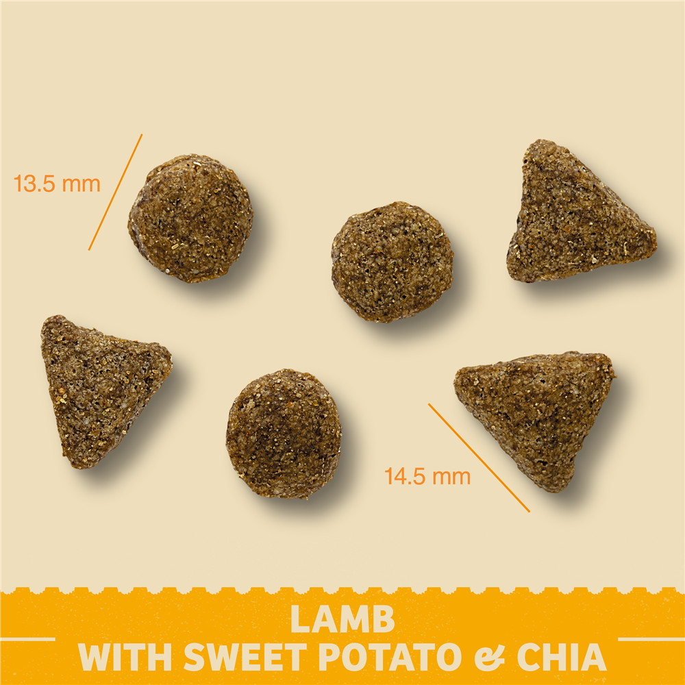 James Wellbeloved Lamb with Sweet Potato & Chia Superfoods Dry Dog Food for Adult Dogs, 10kg