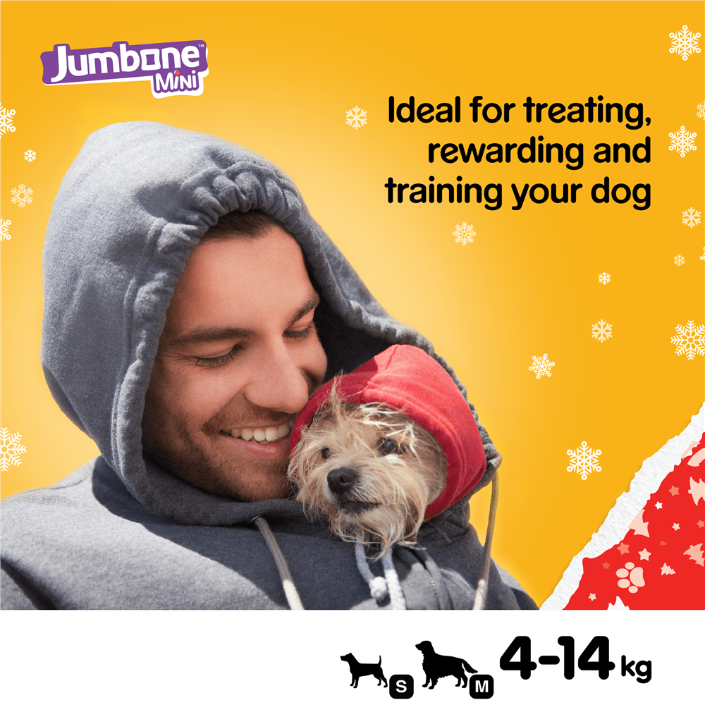 Pedigree Christmas Turkey Jumbone Small Dog Treat, 4 Chews