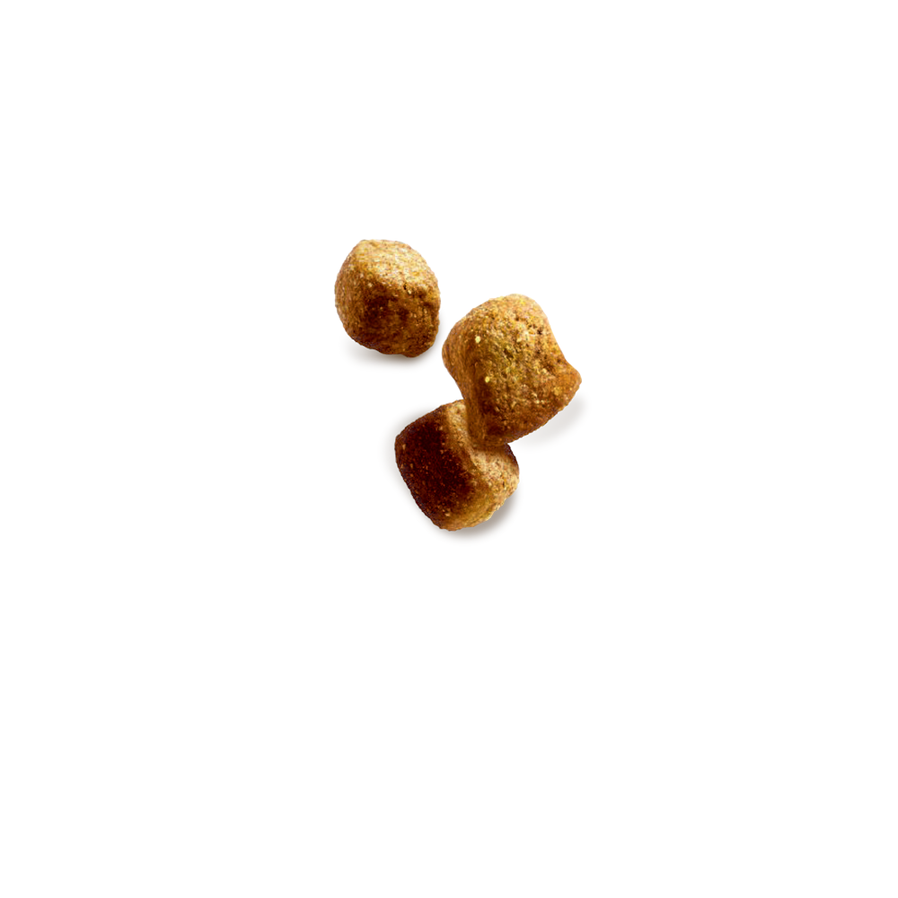 Pedigree Christmas Turkey Tasty Minis Dog Treats, 130g