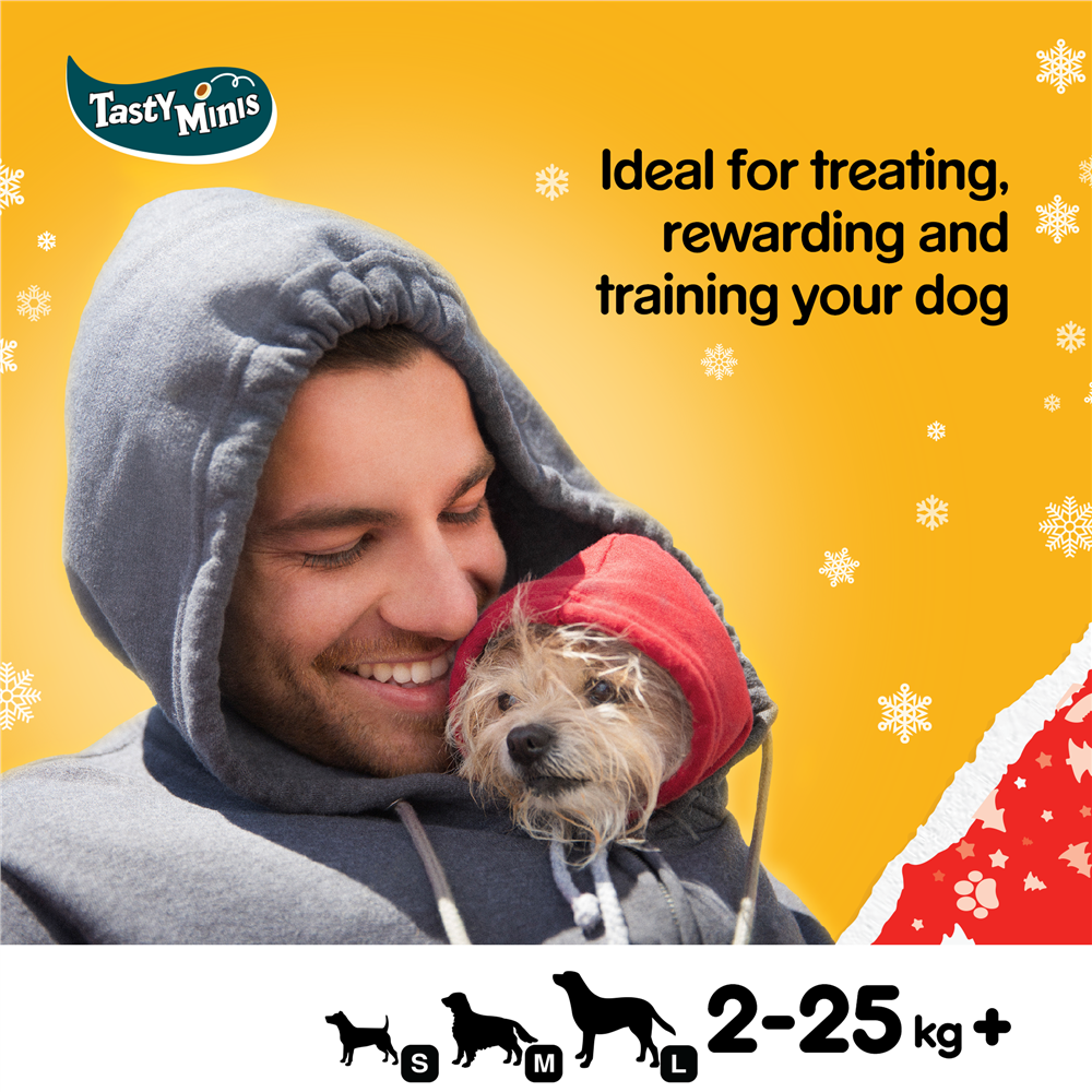 Pedigree Christmas Turkey Tasty Minis Dog Treats, 130g