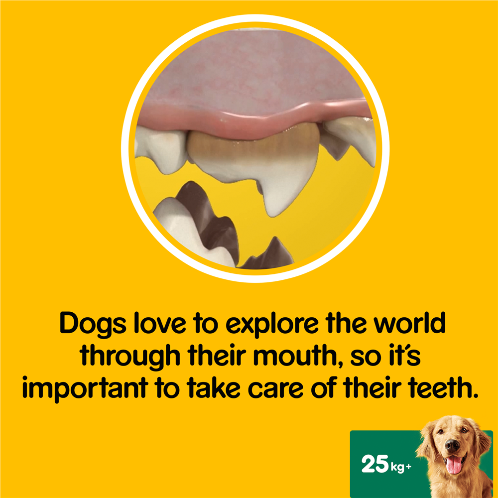 Pedigree DentaStix Daily Dental Dog Treats for Large Breed Dogs, 105 Sticks