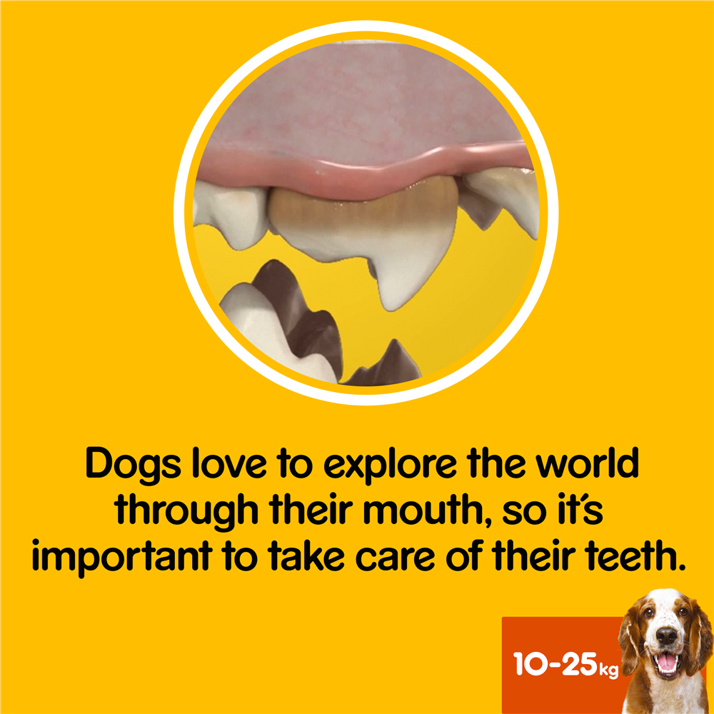 Pedigree DentaStix Daily Dental Dog Treats for Medium Breed Dogs, 105 Sticks