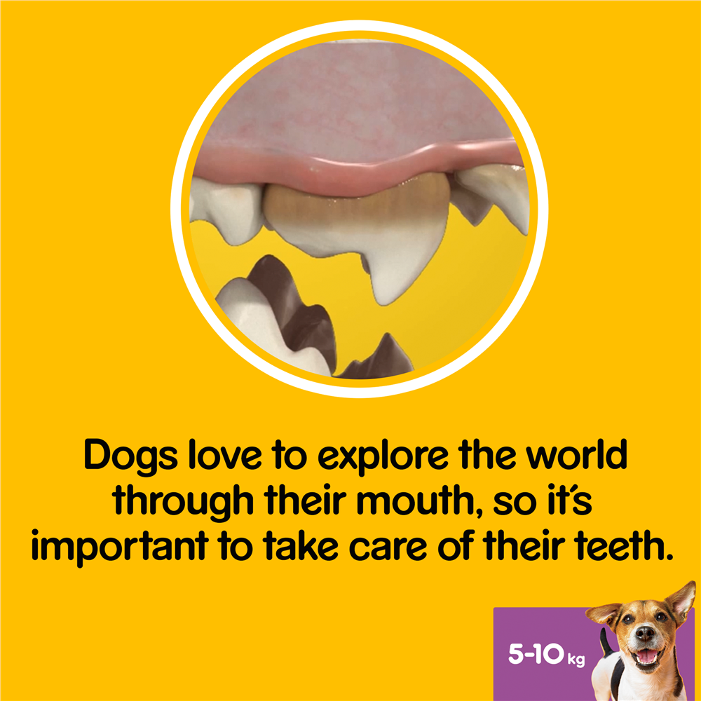 Pedigree Dentastix Daily Dental Dog Treats for Small Breed Dogs, 105 Sticks