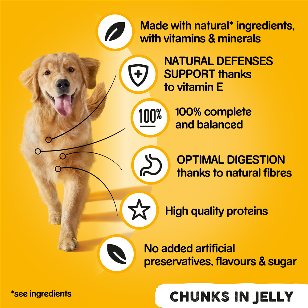 Pedigree Mixed Chunks in Jelly Wet Dog Food for Adult Dogs, 12 x 385g