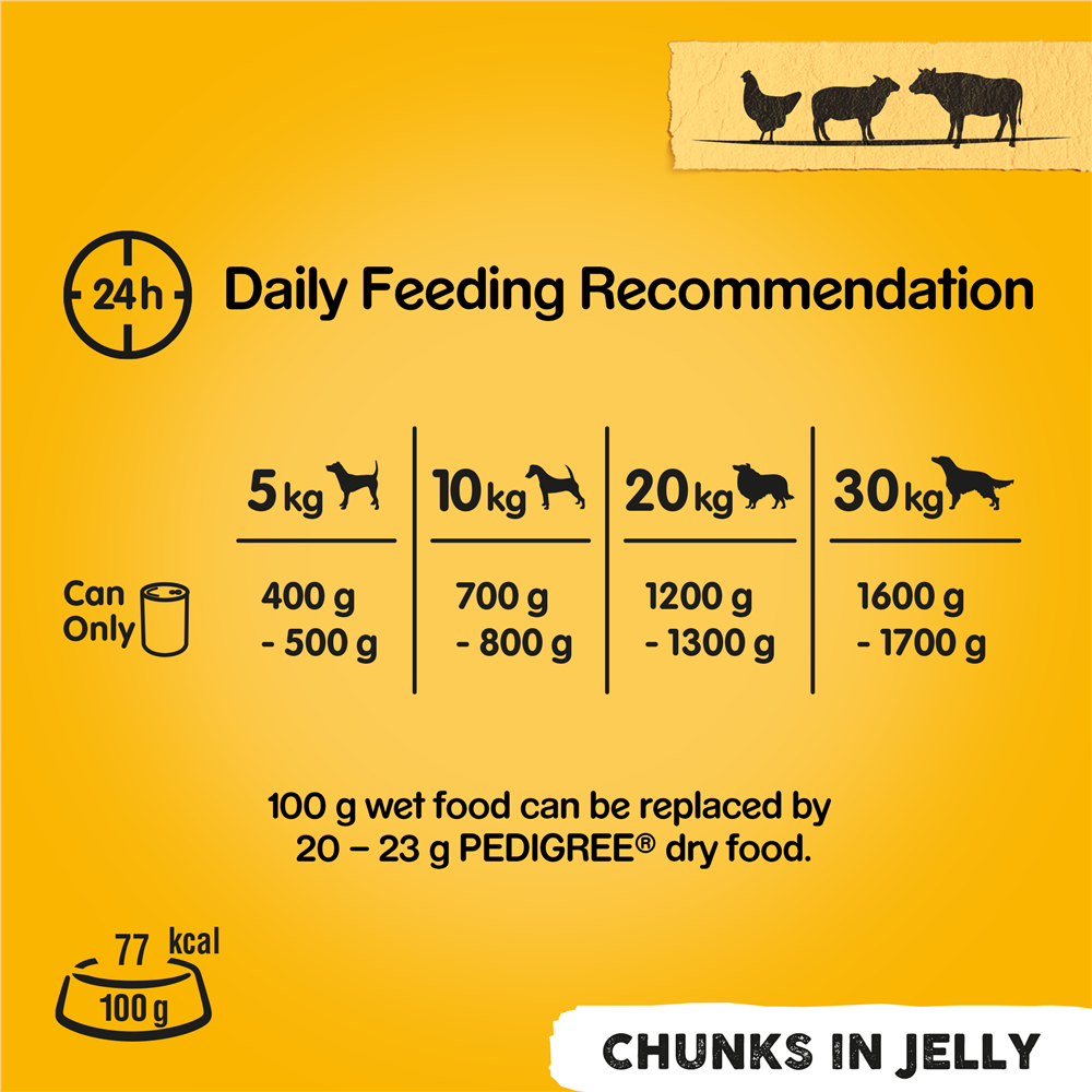 Pedigree Mixed Chunks in Jelly Wet Dog Food for Adult Dogs, 12 x 385g
