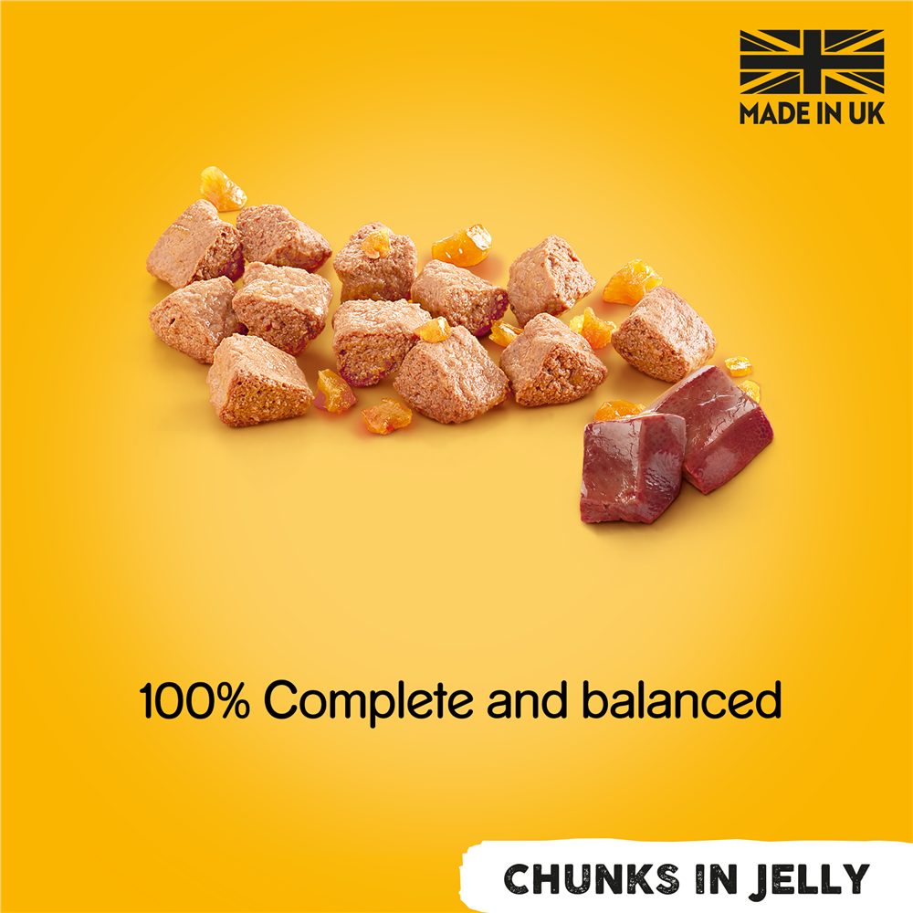 Pedigree Mixed Chunks in Jelly Wet Dog Food for Adult Dogs, 12 x 385g