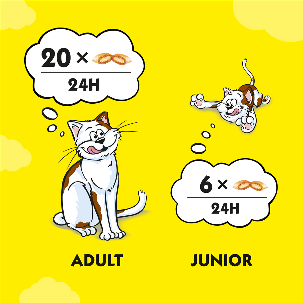 Dreamies Cat Treats with Salmon, 350g Mega Tub