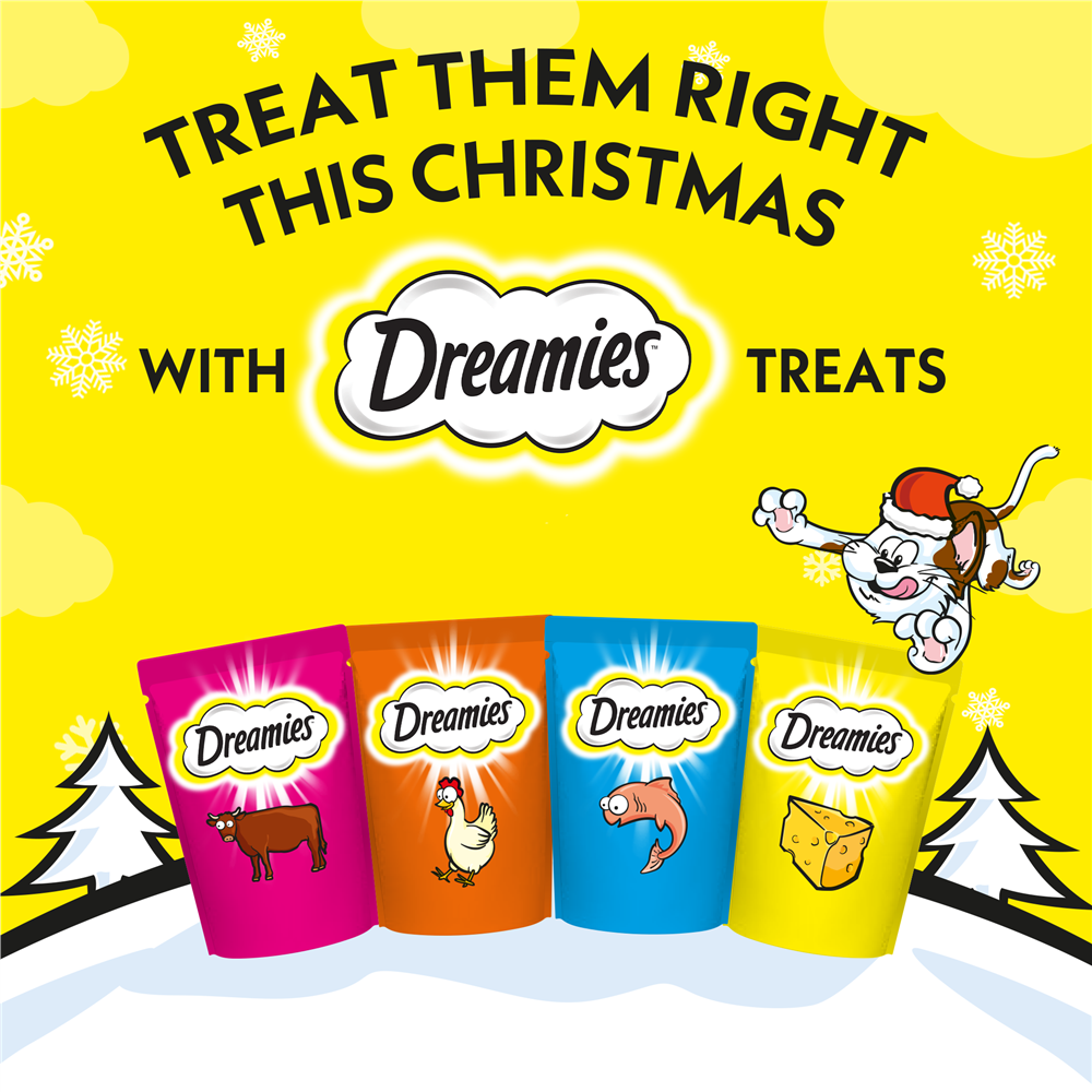 Dreamies Christmas Stocking Cat Treats