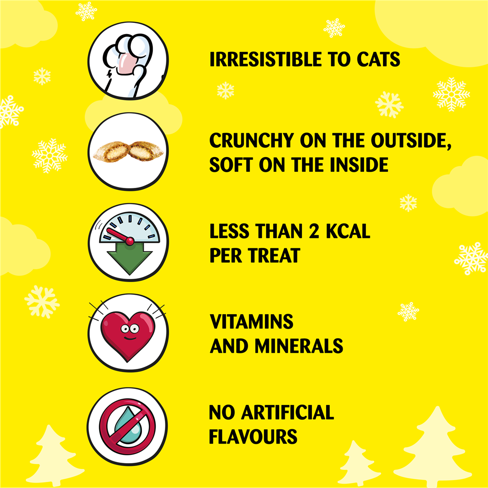 Dreamies Christmas Stocking Cat Treats