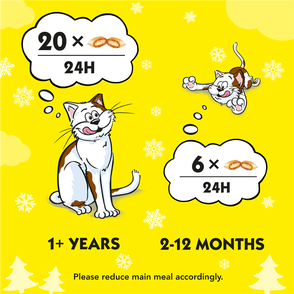 Dreamies Christmas Stocking Cat Treats