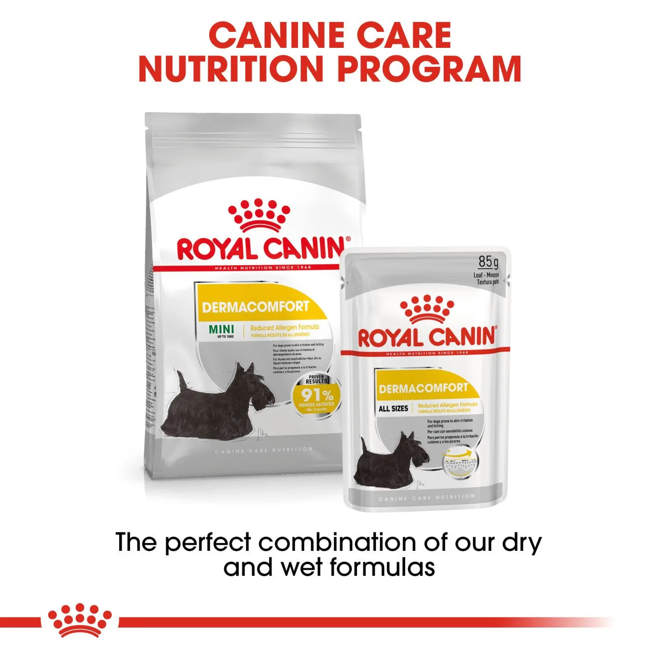 Royal Canin Dermacomfort Dry Dog Food for Small Breed Adult Dogs