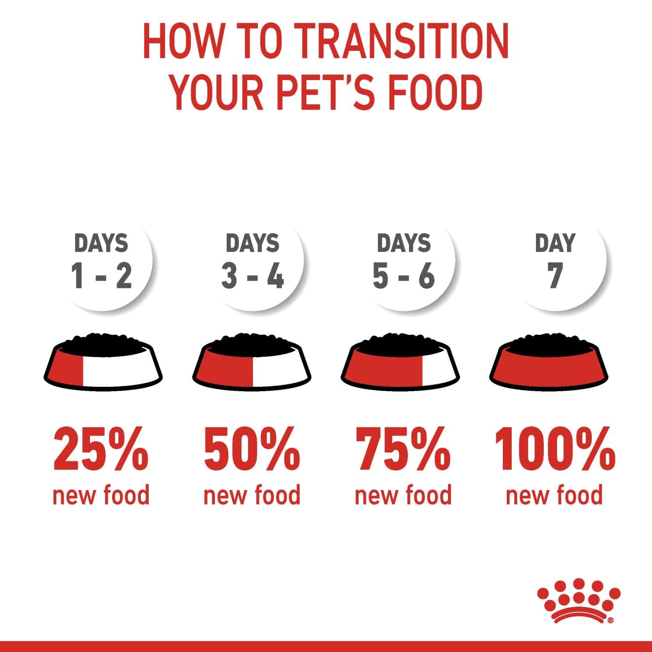 Royal Canin Digestive Care Wet Cat Food Thin Slices In Gravy for Adult Cats, 85g