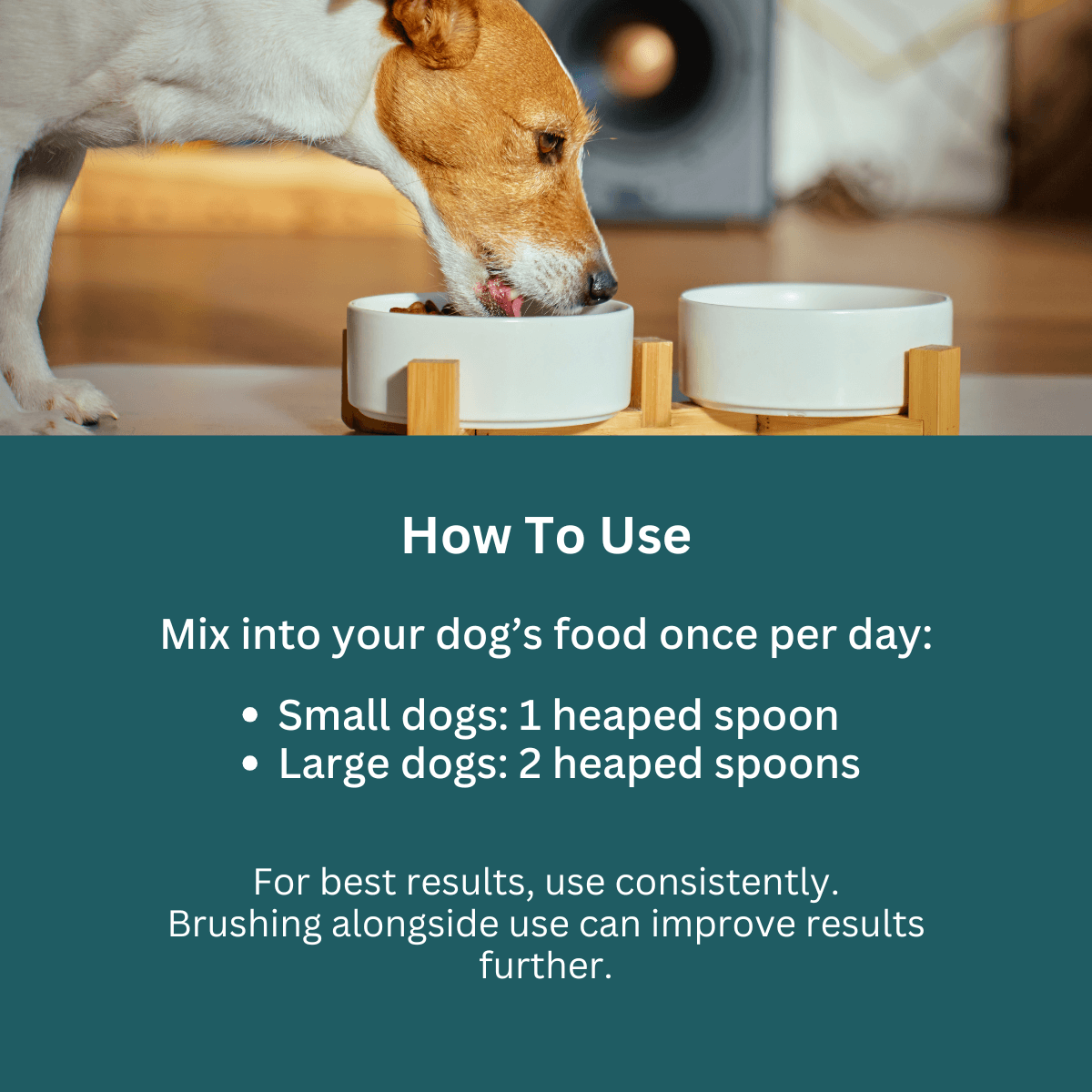 Donation - Tip Top Animal Dog Dental Teeth Cleaning Powder - Fresh Breath & Plaque Removal, 80g