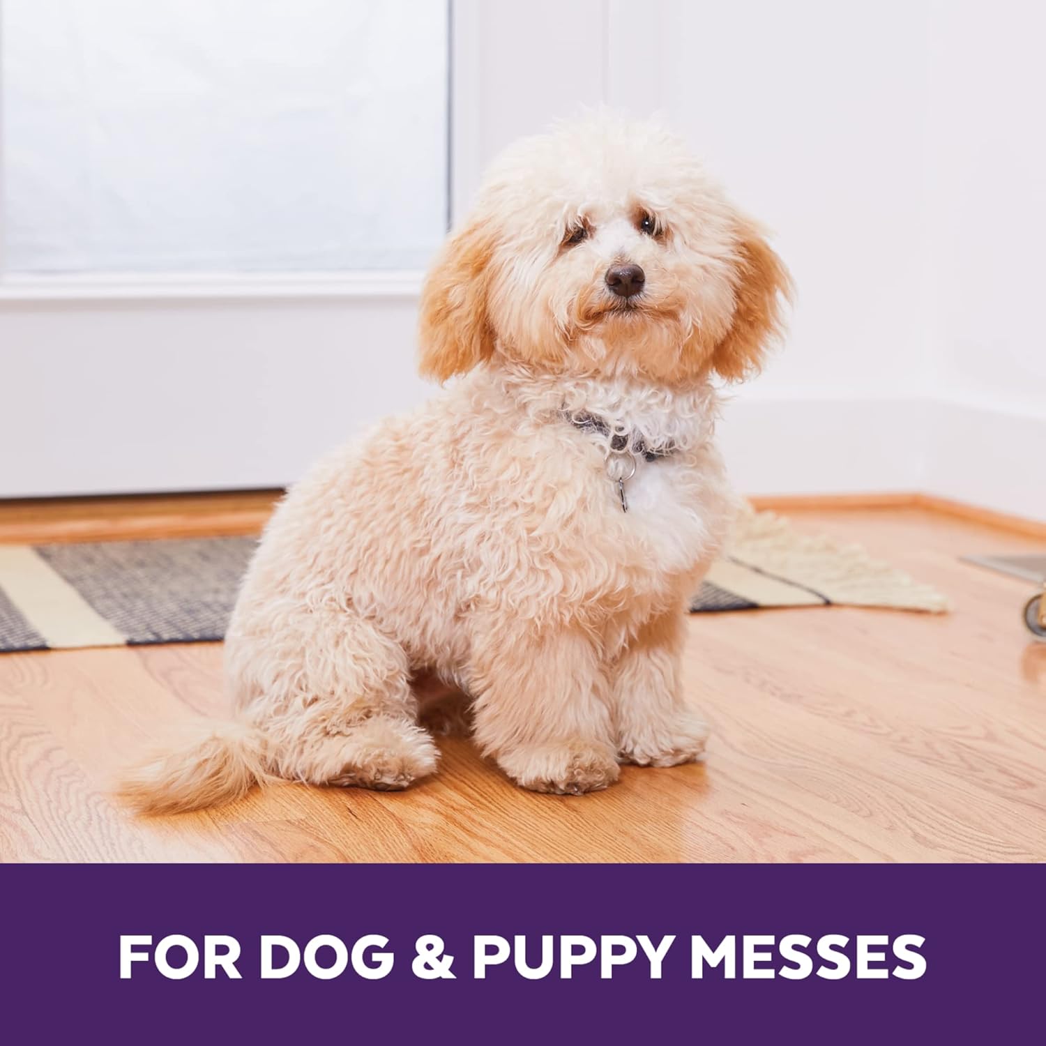 Urine Off Dog & Puppy Stain & Odour Neutraliser