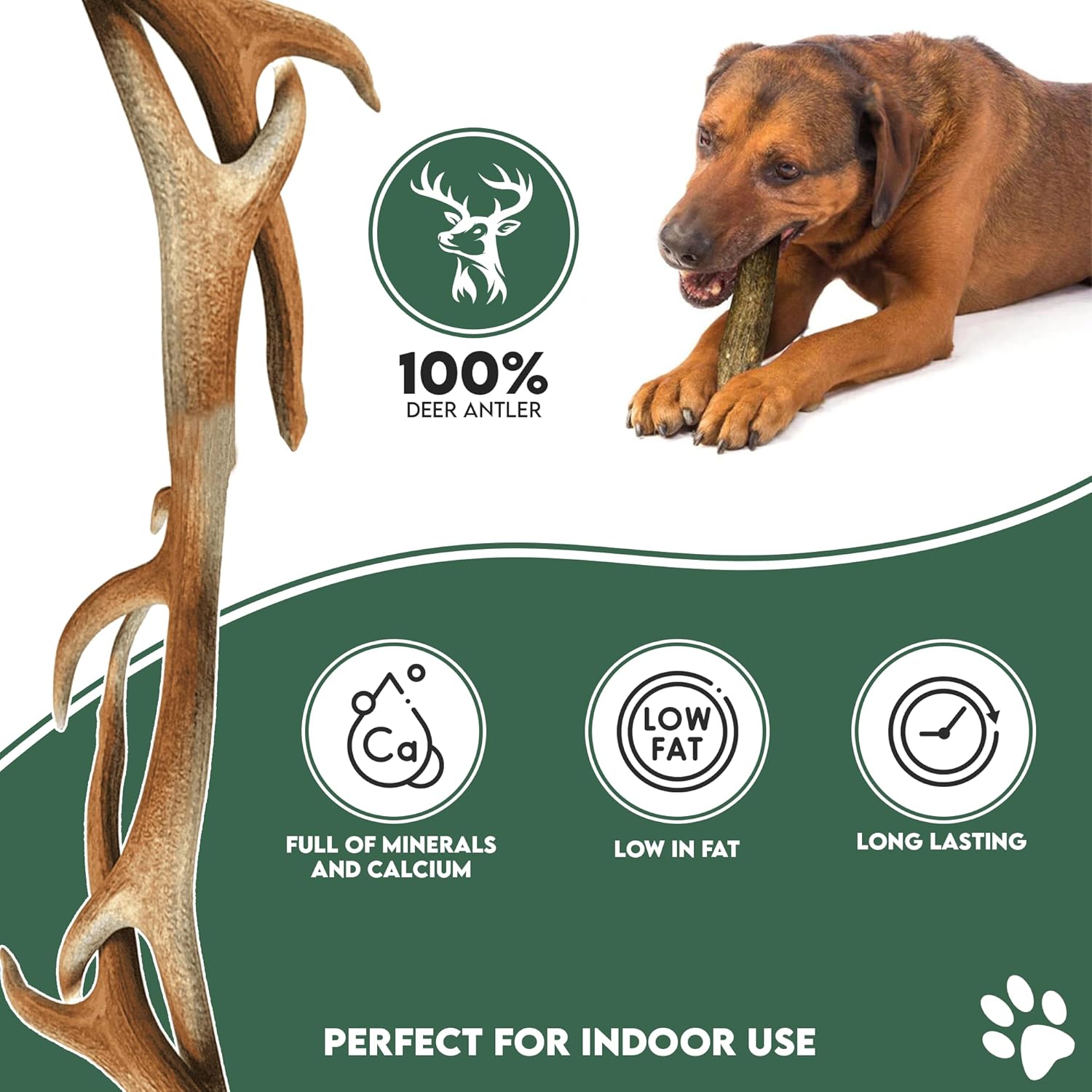 Wild Antler Co Deer Antler Dog Chew