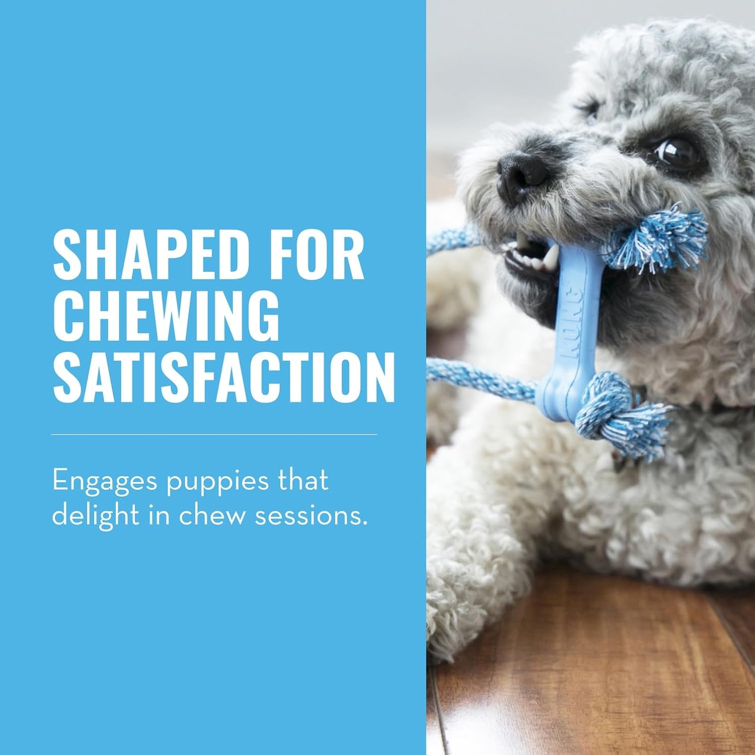 Kong Puppy Goodie Bone With Rope, Extra Small