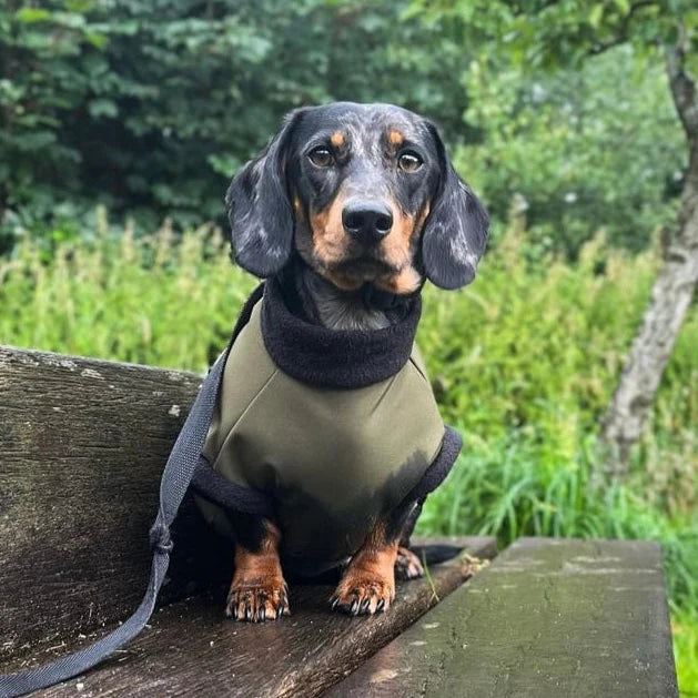 Chic Pup Co Olive Waterproof Zip Dog Jumper for Small Dogs
