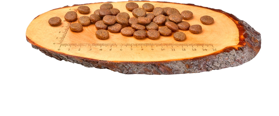 Carnilove Fresh Carp & Trout Dry Dog Food for Adult Dogs