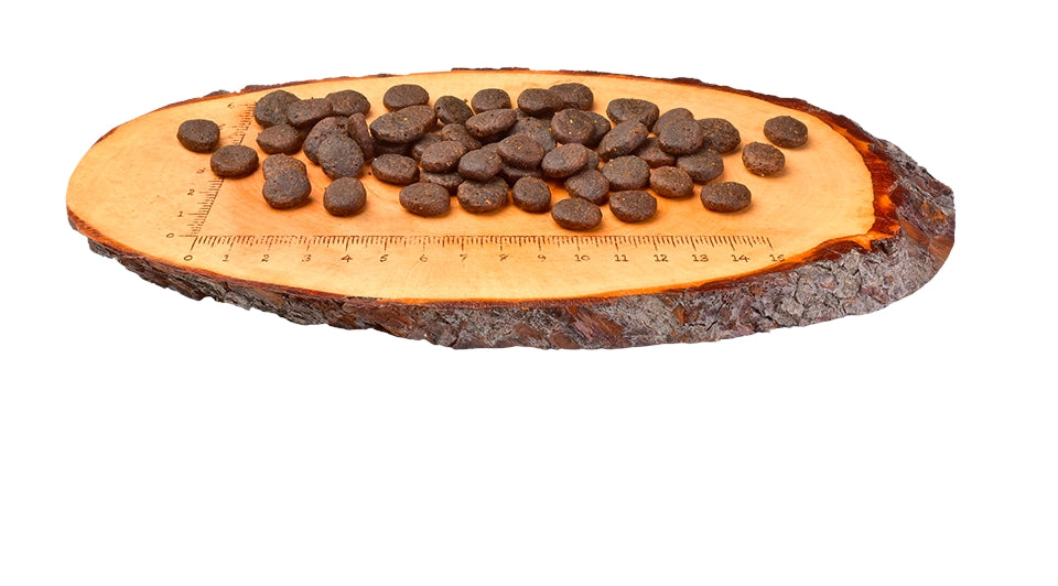 Carnilove Fresh Chicken & Rabbit Dry Dog Food for Adult Dogs