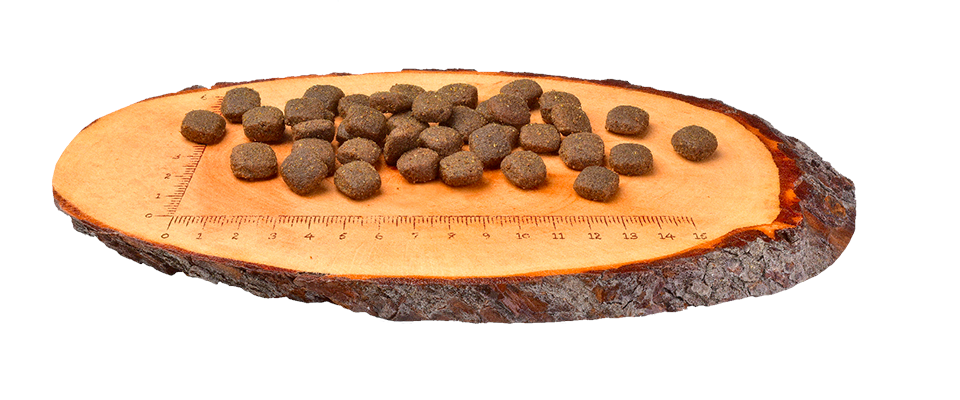 Carnilove Lamb & Wild Boar Dry Dog Food for Adult Dogs
