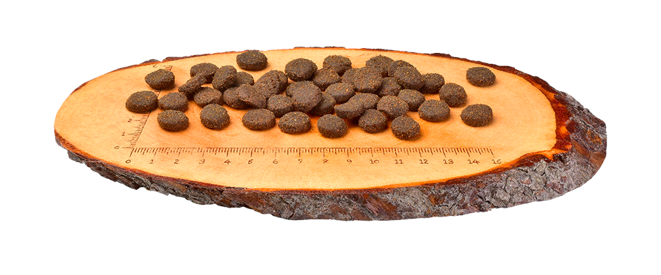 Carnilove Reindeer Dry Dog Food for Adult Dogs, 12kg
