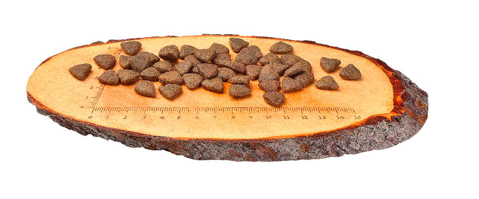 Carnilove Salmon Dry Dog Food for Adult Dogs