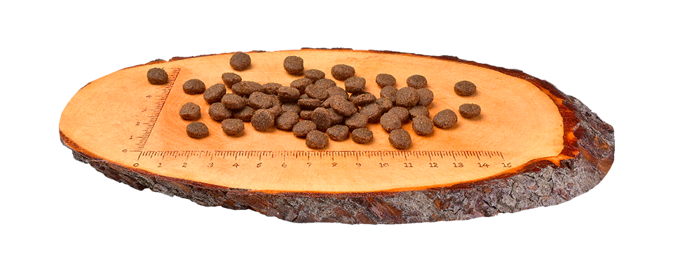 Carnilove Salmon & Turkey Dry Dog Food for Puppies