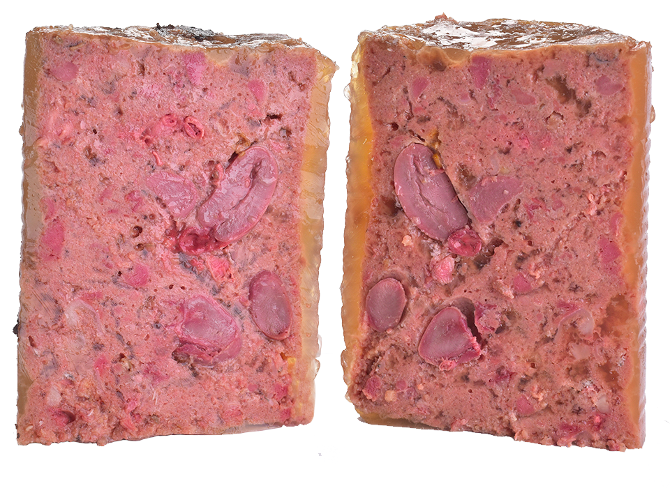 Carnilove Salmon & Turkey Wet Dog Food for Puppies, 400g