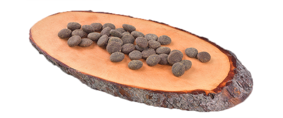 Carnilove True Fresh Beef Dry Dog Food for Adult Dogs