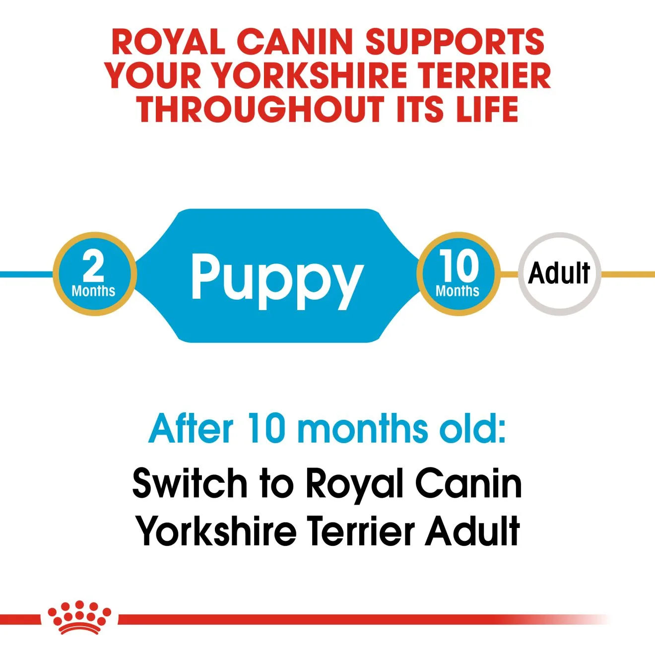 Royal Canin Dry Dog Food for Yorkshire Terrier Puppies, 1.5kg