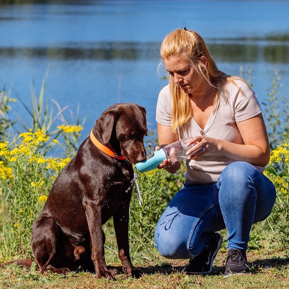 Nobby 2-in-1 Dog Water Bottle with Drinking Bowl - Mint, 550ml