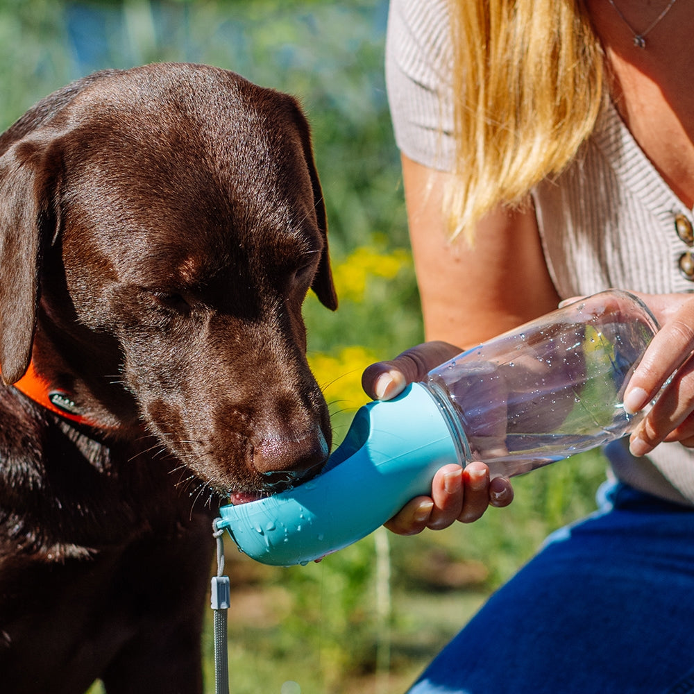 Nobby 2-in-1 Dog Water Bottle with Drinking Bowl - Mint, 550ml