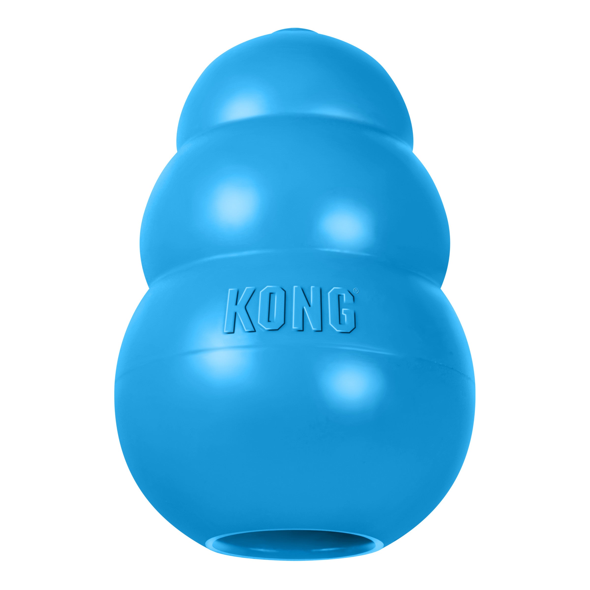 Kong Puppy Toy