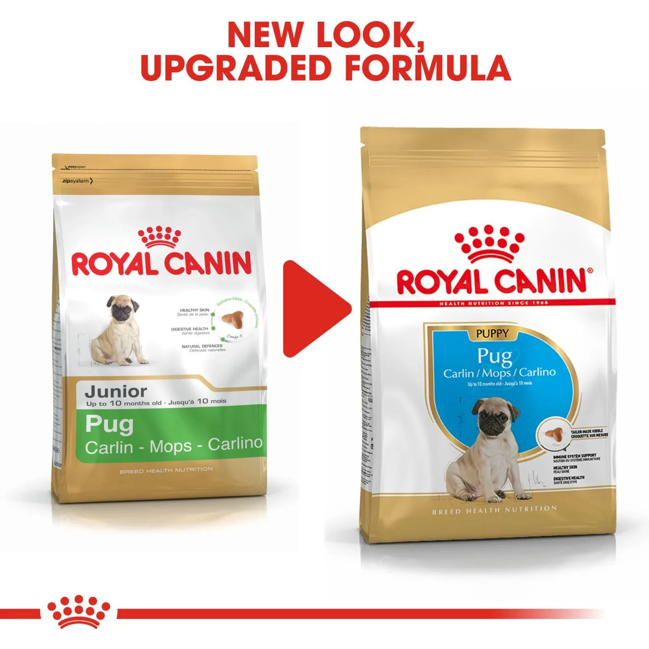 Royal Canin Dry Dog Food for Pug Puppies, 1.5kg
